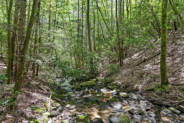 0 Maple Leaf Trl Lot 10, Lookout Mountain, GA 30750