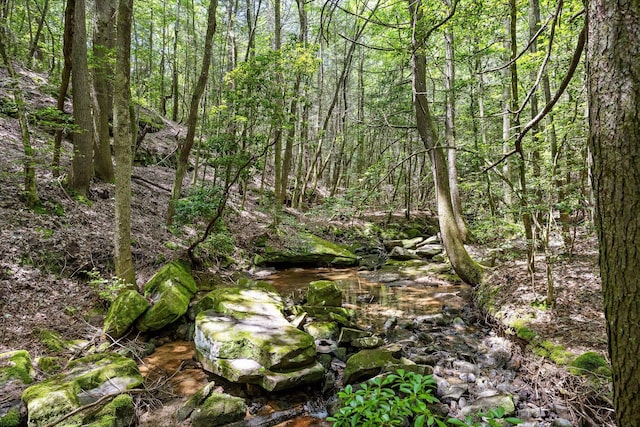 0 Maple Leaf Trl Lot 10, Lookout Mountain, GA 30750