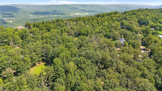 0 Maple Leaf Trl Lot 10, Lookout Mountain, GA 30750