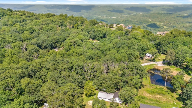 0 Maple Leaf Trl Lot 10, Lookout Mountain, GA 30750