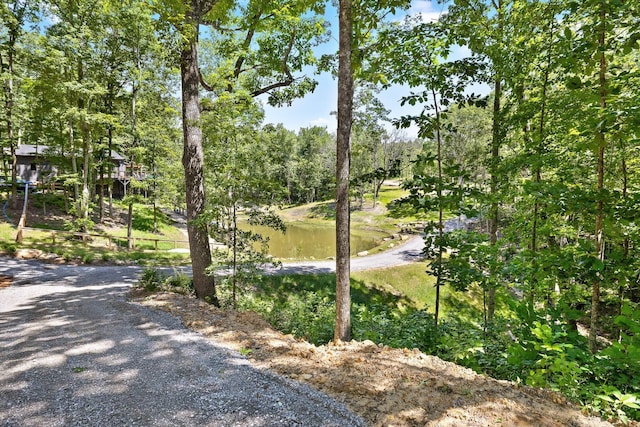 0 Maple Leaf Trl Lot 10, Lookout Mountain, GA 30750