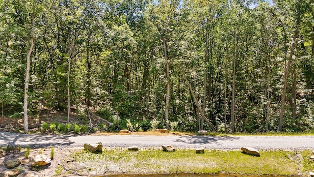 0 Maple Leaf Trl Lot 10, Lookout Mountain, GA 30750