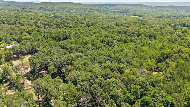 0 Maple Leaf Trl Lot 10, Lookout Mountain, GA 30750