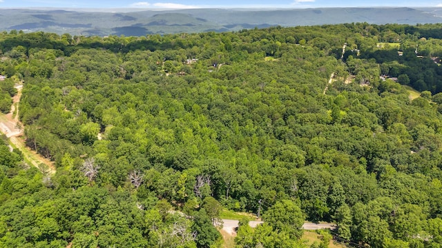 0 Maple Leaf Trl Lot 10, Lookout Mountain, GA 30750