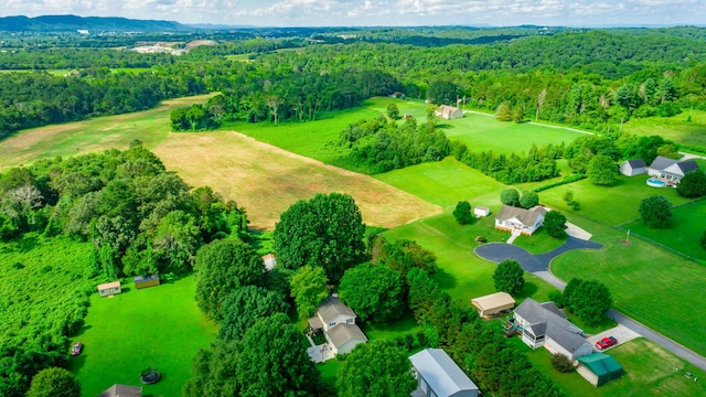 1727 Saunders Rd, Ringgold, GA 30736 - bird's eye view of a forest