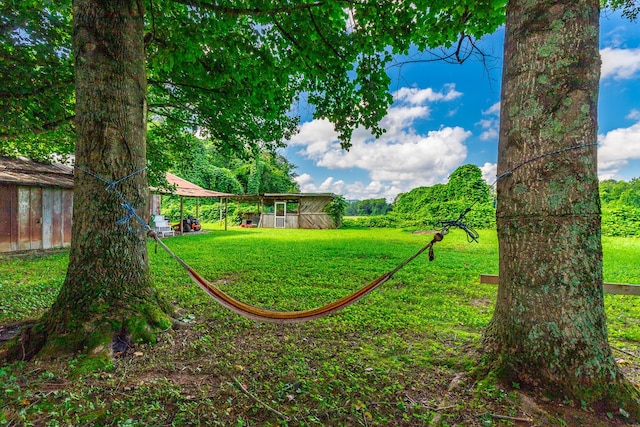 1727 Saunders Rd, Ringgold, GA 30736 - view of green lawn