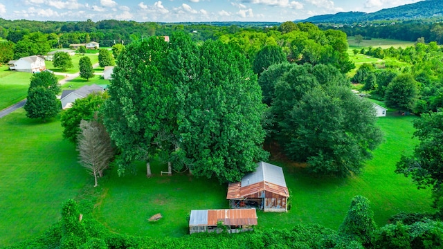 1727 Saunders Rd, Ringgold, GA 30736 - bird's eye view of a heavily wooded area