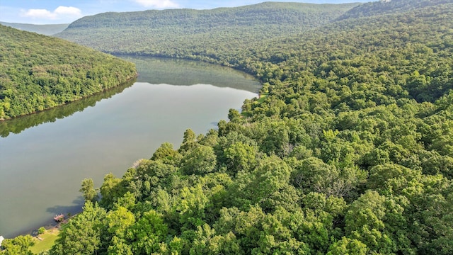 1311 Massengale Point Rd, Chattanooga, TN 37419