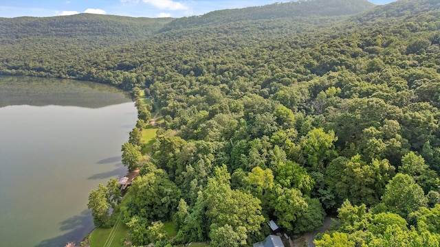 1311 Massengale Point Rd, Chattanooga, TN 37419