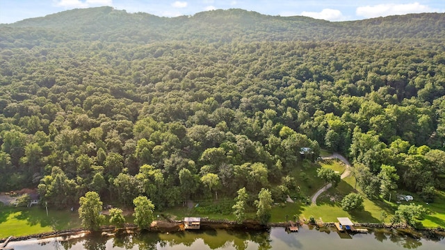 1311 Massengale Point Rd, Chattanooga, TN 37419