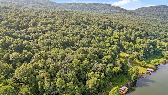 1311 Massengale Point Rd, Chattanooga, TN 37419