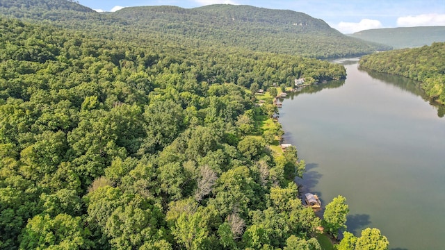 1311 Massengale Point Rd, Chattanooga, TN 37419