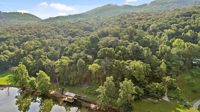 1311 Massengale Point Rd, Chattanooga, TN 37419