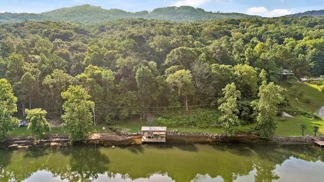 1311 Massengale Point Rd, Chattanooga, TN 37419
