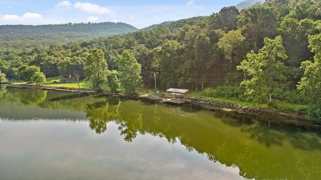 1311 Massengale Point Rd, Chattanooga, TN 37419