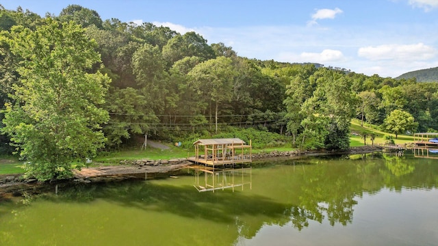 1311 Massengale Point Rd, Chattanooga, TN 37419