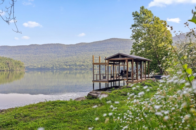 1311 Massengale Point Rd, Chattanooga, TN 37419