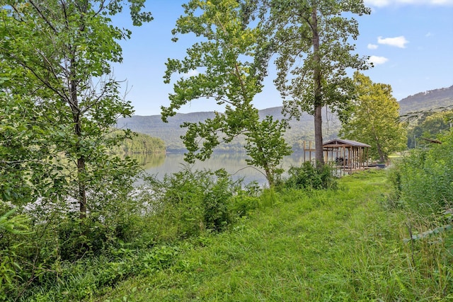 1311 Massengale Point Rd, Chattanooga, TN 37419