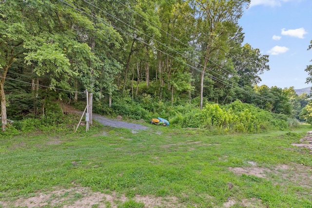 1311 Massengale Point Rd, Chattanooga, TN 37419