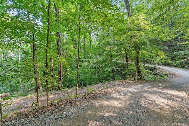 1311 Massengale Point Rd, Chattanooga, TN 37419