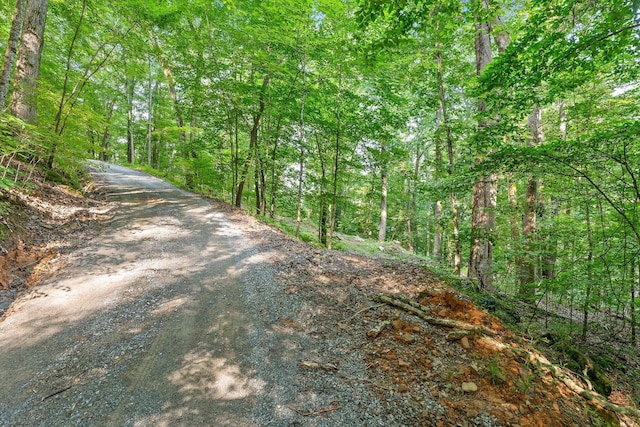 1311 Massengale Point Rd, Chattanooga, TN 37419