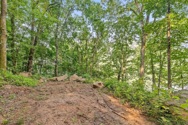 1311 Massengale Point Rd, Chattanooga, TN 37419