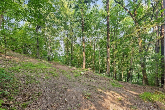 1311 Massengale Point Rd, Chattanooga, TN 37419