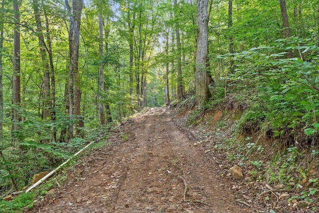 1311 Massengale Point Rd, Chattanooga, TN 37419