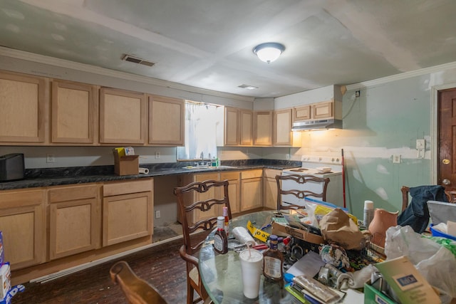 1502 E 49th St, Chattanooga, TN 37407 - kitchen with white range with electric stovetop, under cabinet range hood, light brown cabinetry, ornamental molding, and dark countertops