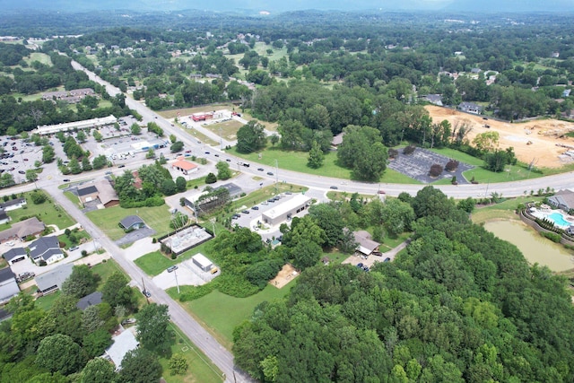 6024 Hixson Pike, Hixson, TN 37343 - photo 9