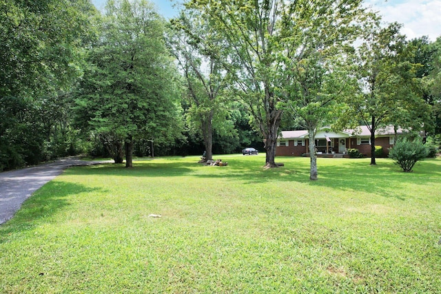 6024 Hixson Pike, Hixson, TN 37343 - photo 15