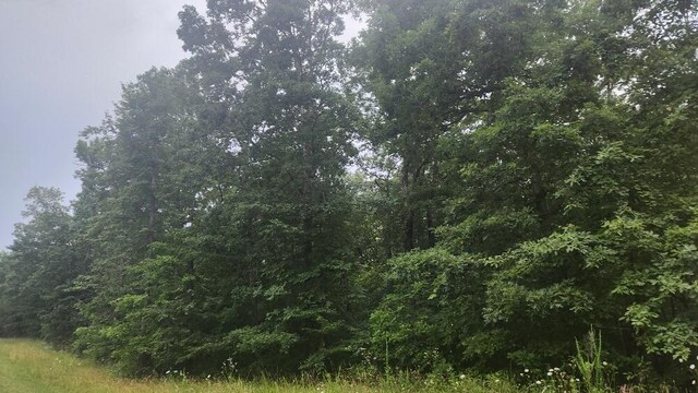 LOT561 Simmons Rd, Pikeville, TN 37367 - photo 2