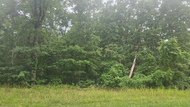 LOT561 Simmons Rd, Pikeville, TN 37367 - photo 3