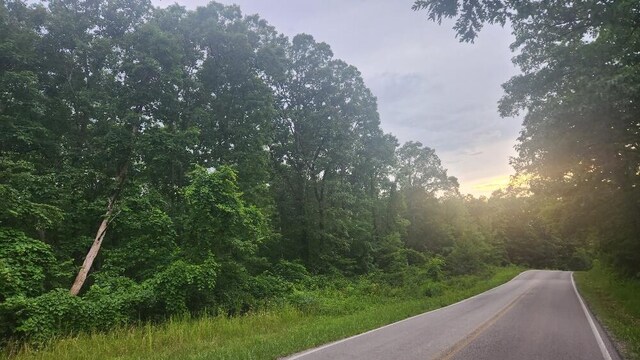 LOT561 Simmons Rd, Pikeville, TN 37367 - photo 4