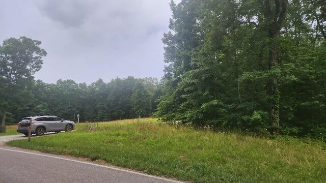 LOT561 Simmons Rd, Pikeville, TN 37367 - photo 9
