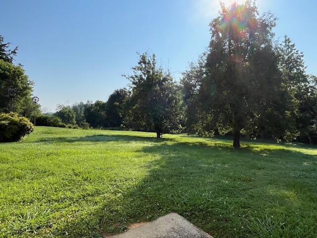 4630 Happy Valley Rd, Flintstone, GA 30725 - view of grassy yard