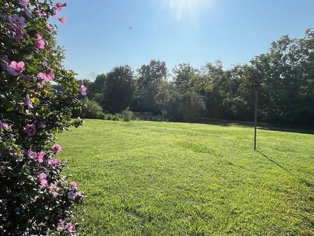 4630 Happy Valley Rd, Flintstone, GA 30725 - view of grassy yard
