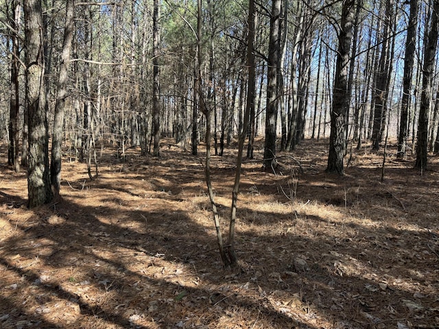 1 Fredonia Rd, Dunlap, TN 37327 - photo 3