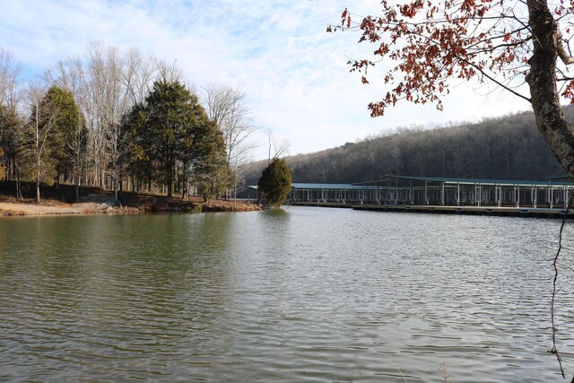 55 Captains Way, Jasper, TN 37347