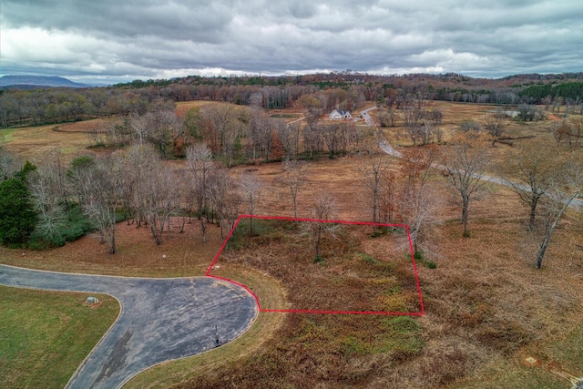 55 Captains Way, Jasper, TN 37347
