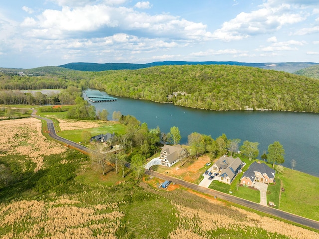 175 Edgewater Way, Jasper, TN 37347