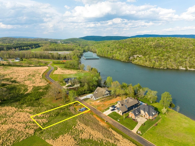 175 Edgewater Way, Jasper, TN 37347