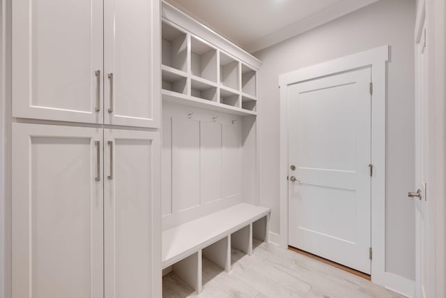 10619 Kavya Ln, Apison, TN 37302 - view of mudroom