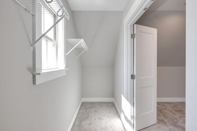 10619 Kavya Ln, Apison, TN 37302 - spacious closet with carpet