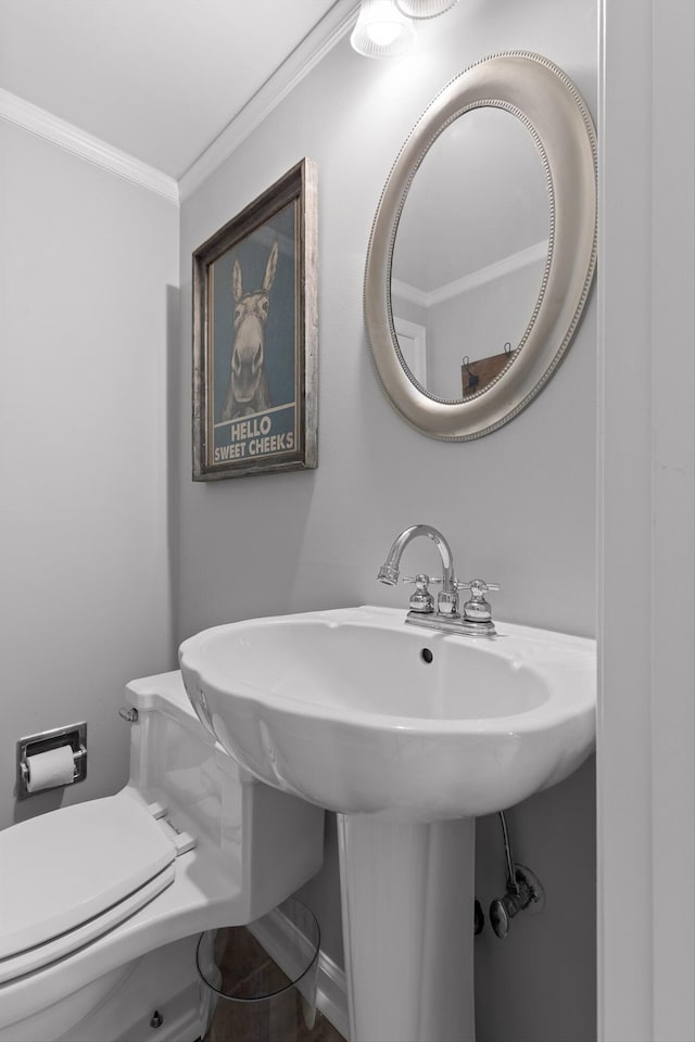 2109 E Brow Rd, Walden, TN 37377 - bathroom with crown molding and a sink