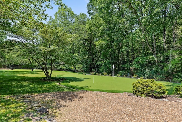 2109 E Brow Rd, Walden, TN 37377 - view of property's community featuring a putting area and a yard