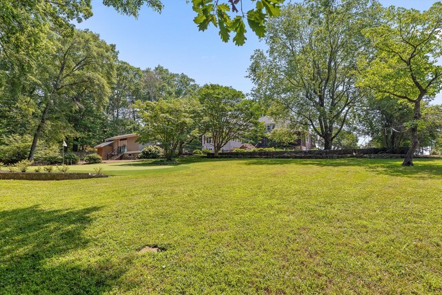 2109 E Brow Rd, Walden, TN 37377 - view of grassy yard