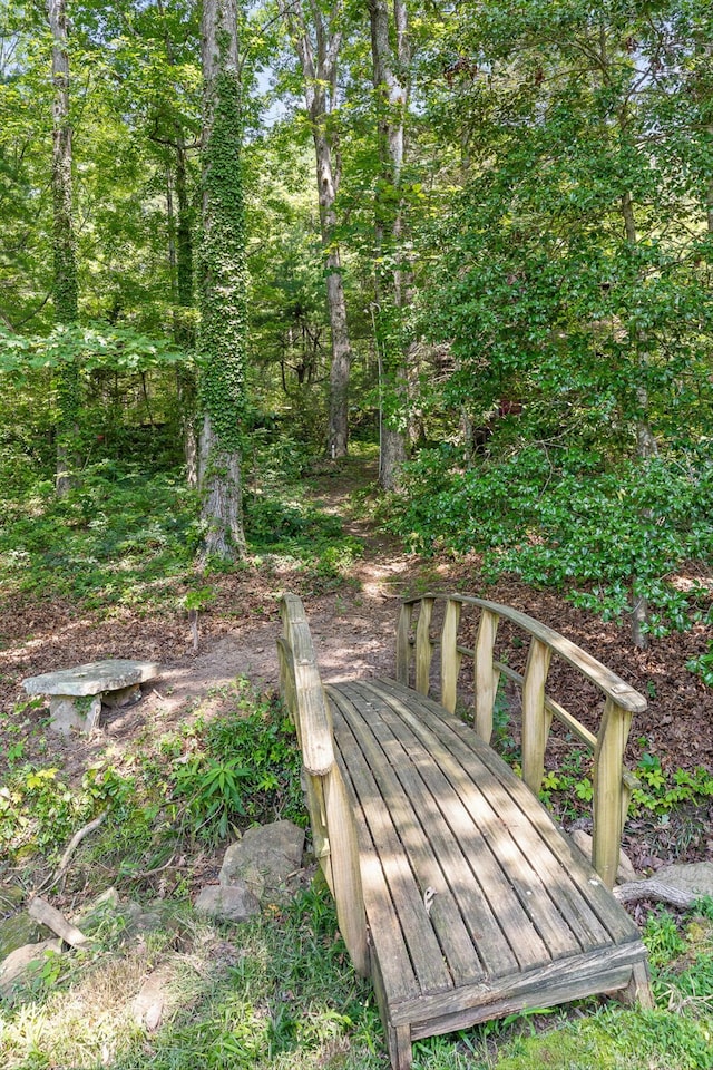 2109 E Brow Rd, Walden, TN 37377 - view of community