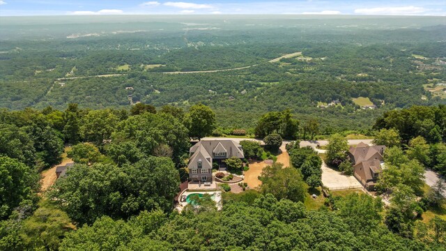 2109 E Brow Rd, Walden, TN 37377 - bird's eye view of a forest
