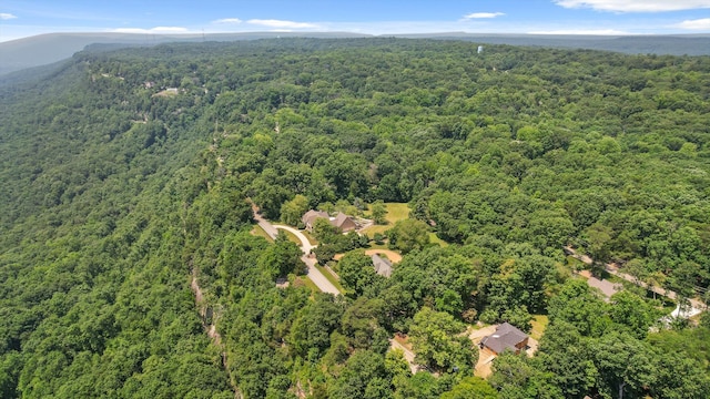 2109 E Brow Rd, Walden, TN 37377 - aerial view of property and surrounding area featuring a forest